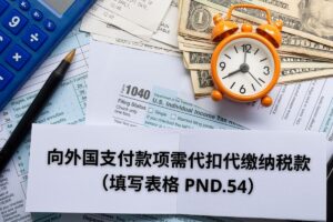 泰国增值税申报表 P.P.36 示例